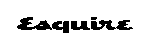 esquire company logo